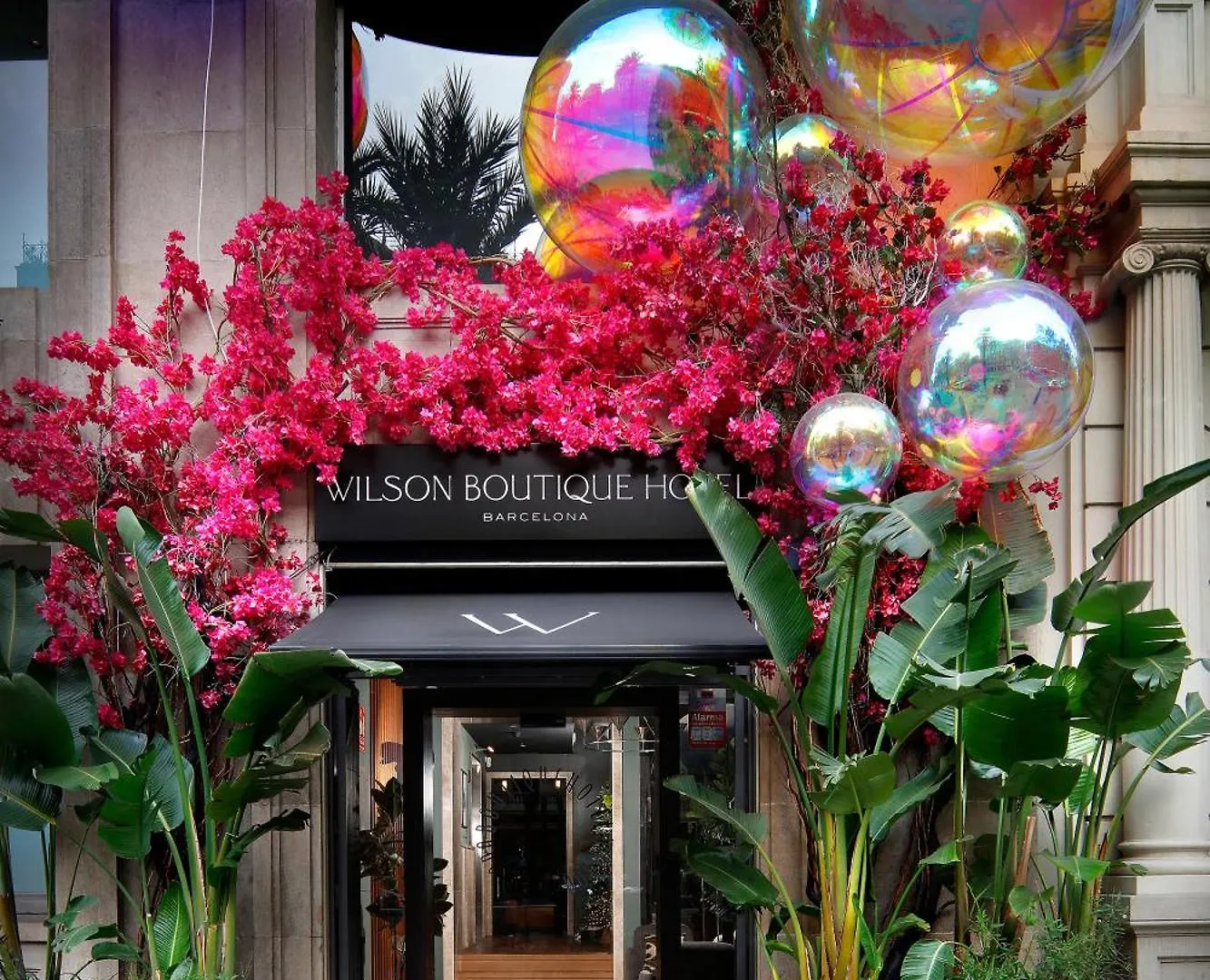 Wilson Boutique Hotel Barcelona