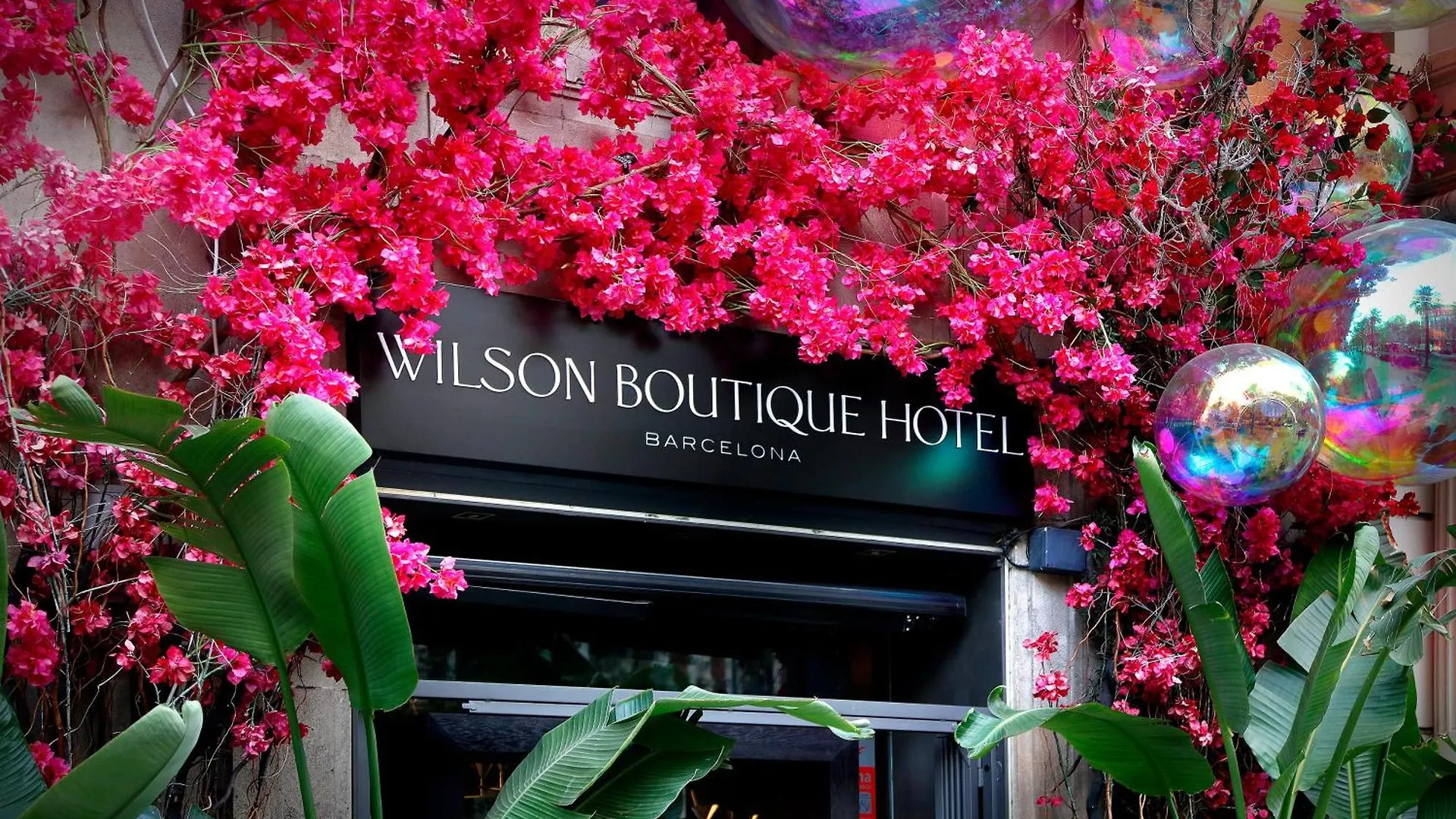 Wilson Boutique Hotel Barcellona