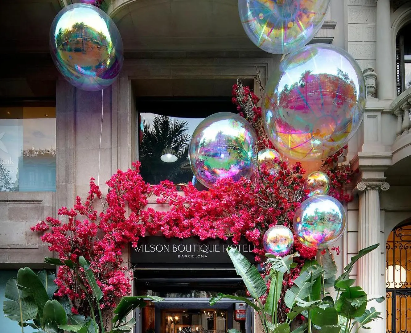 Wilson Boutique Hotel Barcellona Spagna